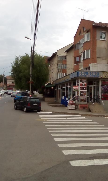 Garsoniera Del Dodo Διαμέρισμα Άλμπα Ιούλια Εξωτερικό φωτογραφία